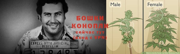 дживик Липки