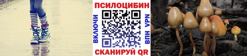 Псилоцибиновые грибы Psilocybine cubensis  сайты даркнета клад  Кяхта 